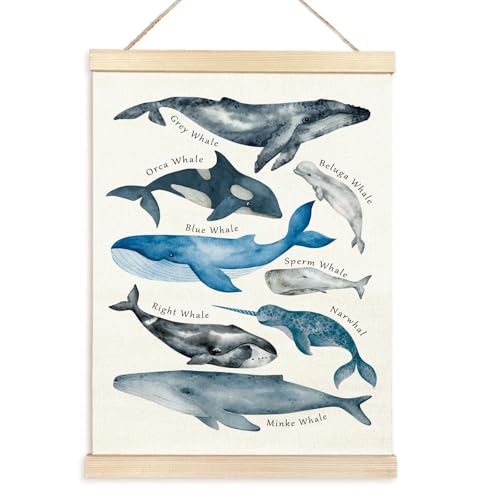 Pädagogisches Wandposter "Meeresleben", Strand für Kinder, mit Tieren für Klassenzimmer, Spielzimmer, Kinderzimmer, Dekoration von Limtula