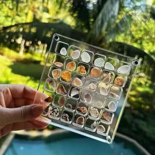 Shell Display Box Acryl Shell Vitrine mit sicherer Dichtung für Enthusiasten Shell Display Box Acryl Shell Vitrine mit sicherer Dichtung für Enthusiasten von Limtula