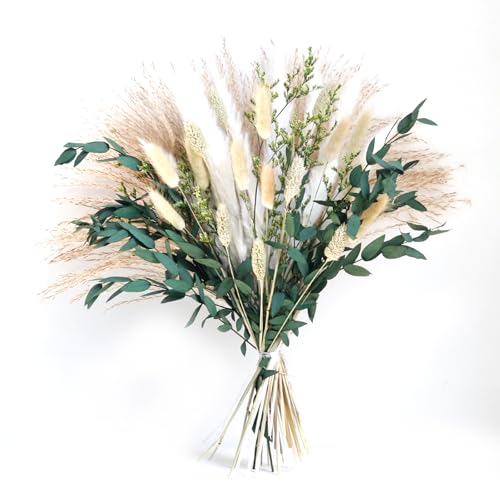 Stall Getrocknete Blütenarrangement Phragmites Communis Und Kaninchen Schwanz Für Stilvolle Innenausstattung Und Besondere Veranstaltung Stall Getrocknete Blütenarrangement Phragmites Communis Und Kaninchen Schwanz Für Stilvolle Innenausstattung Und Besondere Veranstaltung von Limtula