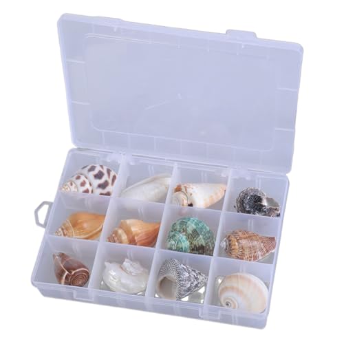 Stapelbares Bastelorganizer-Fach, tragbare Muschel-Vitrine für dekorative Verwendung, Muscheln, klare Seesterne, Schmuck-Organizer Stapelbares Bastelorganizer-Fach, tragbare Muschel-Vitrine für dekorative Verwendung, Muscheln, klare Seesterne, Schmuck-Organizer von Limtula
