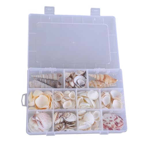 Stapelbares Bastelorganizer-Fach, tragbare Muschel-Vitrine für dekorative Verwendung, Muscheln, klare Seesterne, Schmuck-Organizer Stapelbares Bastelorganizer-Fach, tragbare Muschel-Vitrine für dekorative Verwendung, Muscheln, klare Seesterne, Schmuck-Organizer von Limtula