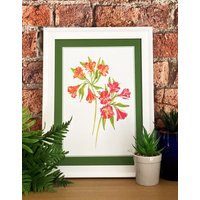 Alstromeria Blumen Kunstdruck | A5/ A4/ A3 Wandkunst Illustration Garten von LincolnGreenDesigns