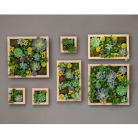 Faux Pflanze Sukkulenten Wand, Grün Laub Mit Stiel, Fake Sukkulenten, Dekor Wohn Wandkunst von LindaPlantArt