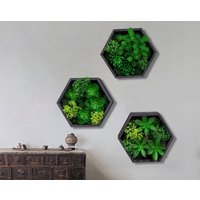 Hängende Sukkulenten Gärten - Holz Hexagon Sukkulente Wandkunst, Wanddekoration Künstliche Sukkulente Wandkunst von LindaPlantArt