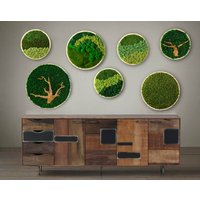 Holz Gerahmt Moos Kunst, Hängender Garten, Konserviertes Keine Pflege, Natur, Wand Dekor Für Zuhause von LindaPlantArt