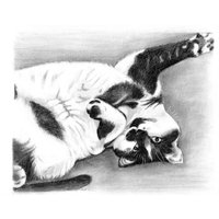 Katze Begleiter Haustier Portrait Beste Freundin Fellzeichnung Detailreich Verspielt Kätzchen Skizze Tier Originalkunstwerk Bff-Gift Bleistifte von LindaRobbsArt