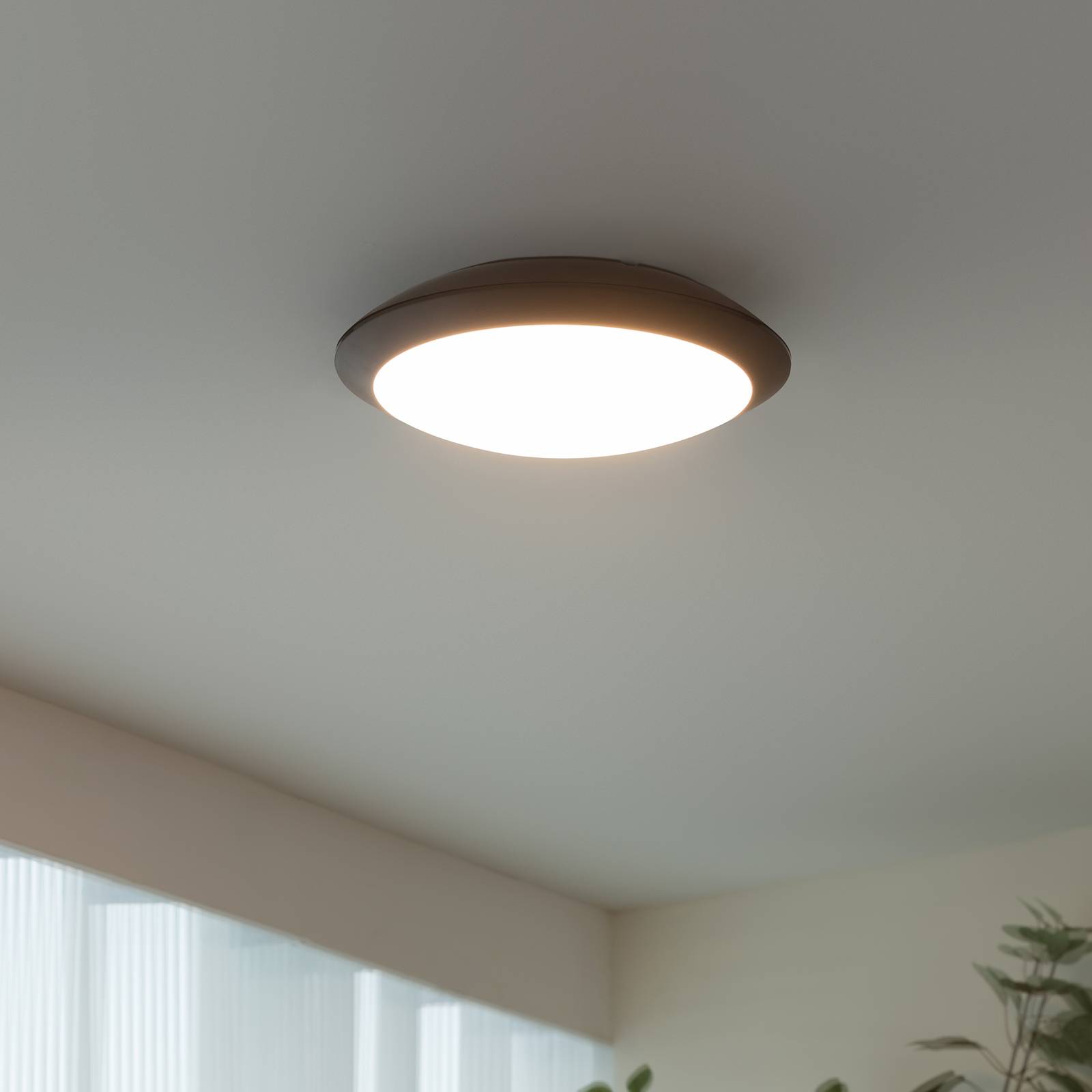 LED-Außendeckenlampe Naira m. Sensor, grau von LINDBY