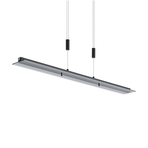 Lindby LED 'Berina' dimmbar (Modern) in Schwarz aus Metall u.a. für Wohnzimmer & Esszimmer (1 flammig,), Wohnzimmerlampe von Lindby