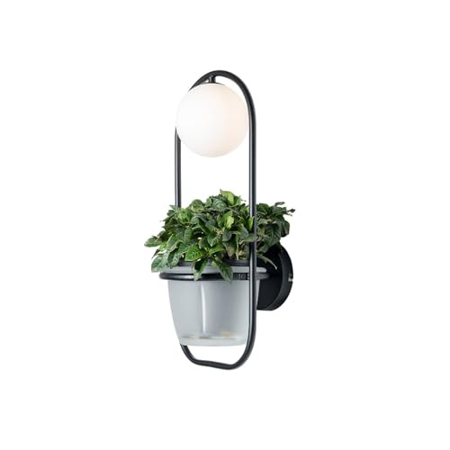 Lindby Wandleuchte, Wandlampe Innen Orna (Modern) in Schwarz aus Metall (1 flammig G9) - Wandstrahler Wandbeleuchtung Schlafzimmer/Wohnzimmer Wohnzimmerleuchte von Lindby
