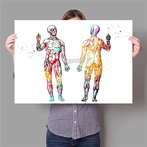 Bilder, Poster, Kunstdrucke Human Anatomy Diagram Art Medical Wall Picture Muskuloskeletal Vintage Nordic Educational Painting Poster Leinwand Malerei Poster Und Drucke - 50X70Cm Bilder, Poster, Kunstdrucke Human Anatomy Diagram Art Medical Wall Picture Muskuloskeletal Vintage Nordic Educational Painting Poster Leinwand Malerei Poster Und Drucke - 50X70Cm von Ling88