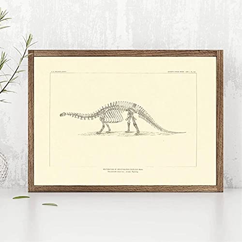 Bilder, Poster, Kunstdrucke Zeichnungen Von Dinosaurier-Fossilskeletten Aus Nordamerika Poster Und Drucke Paläontologie Leinwand Malerei Dinosaurier Knochen Bild Poster Und Drucke - 50X70Cm von Ling88