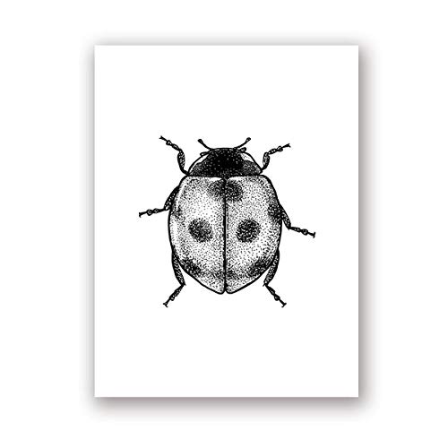 Ling88 Bilder, Poster, Kunstdrucke Insekten Illustration Schwarz-Weiß-Wand-Kunst-Leinwand-Malerei Handgezeichnete Käfer Insekten Poster Und Drucke Wandbilder Wohnkultur Poster Und Drucke - 50X70Cm von Ling88