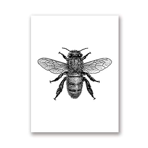 Ling88 Bilder, Poster, Kunstdrucke Insekten Illustration Schwarz-Weiß-Wand-Kunst-Leinwand-Malerei Handgezeichnete Käfer Insekten Poster Und Drucke Wandbilder Wohnkultur Poster Und Drucke - 50X70Cm von Ling88