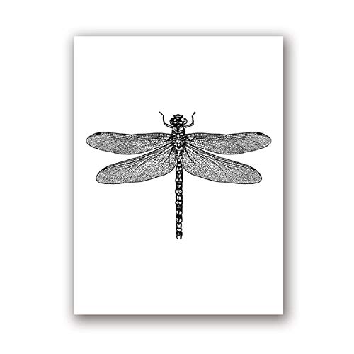 Ling88 Bilder, Poster, Kunstdrucke Insekten Illustration Schwarz-Weiß-Wand-Kunst-Leinwand-Malerei Handgezeichnete Käfer Insekten Poster Und Drucke Wandbilder Wohnkultur Poster Und Drucke - 50X70Cm von Ling88