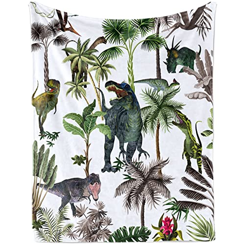 Dinosaurier Babydecke für Jungen, Weich Flauschig Jurassic Dinosaurier World Neugeboren Flanell Decke, Jurassic Dino Park Baby Kuscheldecke Wohndecke für Kleinkinder Kinder Geschenk Couch Sofa Deko von Lingqiang