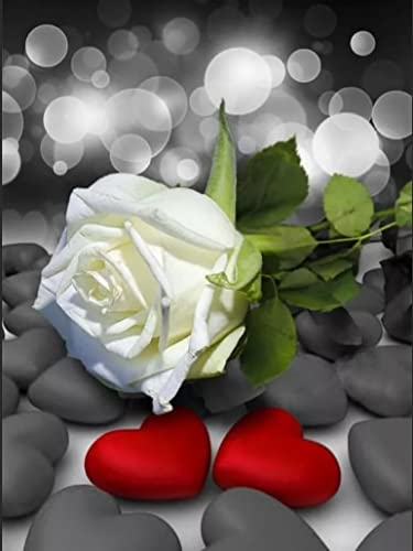 Lingquare 5D Diy Diamond Painting Einfache Rote Rose Schwarz Und Weiß 5D Diy Diamond Painting Rose Volldiamantstickerei Blume Schwarz Und Weiß Mosaik Strass Home Decor ungerahmt 30 * 40cm von Lingquare
