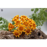 Origami Lichterkette Nach Waldorf Art, Goldgelb von LinjasMacherei