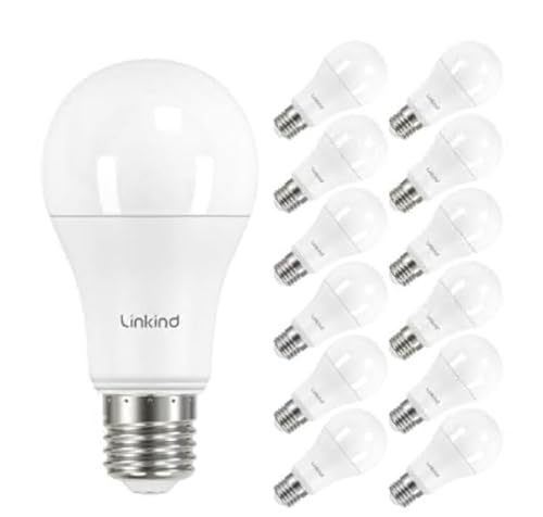Linkind 13.5W Superhell E27 LED Lampe 1521Lm, ersetzt 100 Watt, 2700K Warmweiß E27 A60 Edison Glühbirne, 220° Abstrahlwinkel, nicht dimmbar, 12 Stück von Linkind