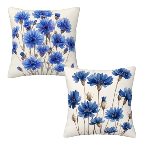 Kissenbezug 35x35 Beige, Dekokissen Kissenbezüge 2er Set, Samt Sofakissen Kopfkissenbezug, Deko Kissen Blau Blumen Beidseitiger Druck, Zierkissen Kissenbezug, Herbst Deko Wohnzimmer Schlafzimmer D-30 Kissenbezug 35x35 Beige, Dekokissen Kissenbezüge 2er Set, Samt Sofakissen Kopfkissenbezug, Deko Kissen Blau Blumen Beidseitiger Druck, Zierkissen Kissenbezug, Herbst Deko Wohnzimmer Schlafzimmer D-30 von Linncen