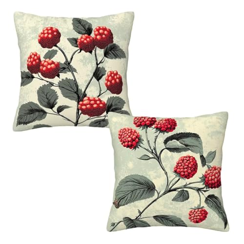 Kissenbezug 50x50 Salbeigrün, Dekokissen Kissenbezüge 2er Set, Samt Sofakissen Kopfkissenbezug, Deko Kissen Anlage Beidseitiger Druck, Zierkissen Kissenbezug, Herbst Deko Wohnzimmer Schlafzimmer H-68 von Linncen