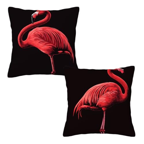 Kissenbezug 50x50 Schwarz, Dekokissen Kissenbezüge 2er Set, Samt Sofakissen Kopfkissenbezug, Deko Kissen Flamingo Beidseitiger Druck, Zierkissen Kissenbezug, Herbst Deko Wohnzimmer Schlafzimmer Z-50 von Linncen