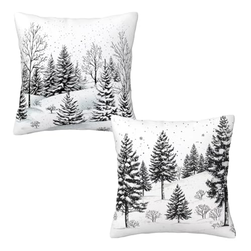 Kissenbezug 50x50 cm Grau, Dekokissen Kissenbezüge 2er Set, Samt Sofakissen Kopfkissenbezug, Deko Kissen Anlage Beidseitiger Druck, Zierkissen Kissenbezug für Herbst Deko Wohnzimmer Schlafzimmer H-62 Kissenbezug 50x50 cm Grau, Dekokissen Kissenbezüge 2er Set, Samt Sofakissen Kopfkissenbezug, Deko Kissen Anlage Beidseitiger Druck, Zierkissen Kissenbezug für Herbst Deko Wohnzimmer Schlafzimmer H-62 von Linncen