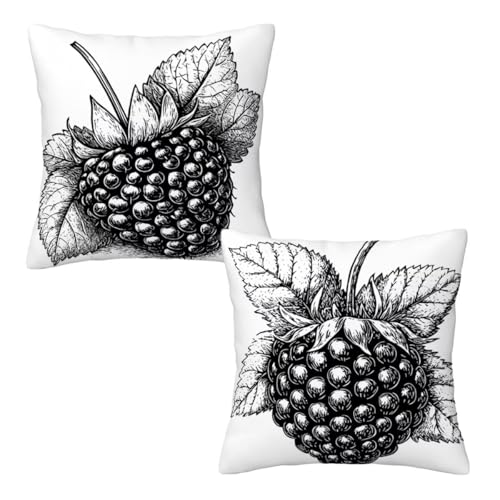 Kissenbezug 60x60 cm Weiß, Dekokissen Kissenbezüge 2er Set, Samt Sofakissen Kopfkissenbezug, Deko Kissen Anlage Beidseitiger Druck, Zierkissen Kissenbezug für Herbst Deko Wohnzimmer Schlafzimmer H-44 Kissenbezug 60x60 cm Weiß, Dekokissen Kissenbezüge 2er Set, Samt Sofakissen Kopfkissenbezug, Deko Kissen Anlage Beidseitiger Druck, Zierkissen Kissenbezug für Herbst Deko Wohnzimmer Schlafzimmer H-44 von Linncen