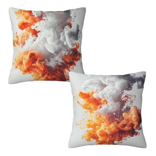 Kissenbezug 80x80 cm Grau, Dekokissen Kissenbezüge 2er Set, Samt Sofakissen Kopfkissenbezug, Deko Kissen Flippig Beidseitiger Druck, Zierkissen Kissenbezug für Herbst Deko Wohnzimmer Schlafzimmer Z-10 Kissenbezug 80x80 cm Grau, Dekokissen Kissenbezüge 2er Set, Samt Sofakissen Kopfkissenbezug, Deko Kissen Flippig Beidseitiger Druck, Zierkissen Kissenbezug für Herbst Deko Wohnzimmer Schlafzimmer Z-10 von Linncen