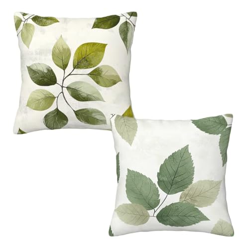 Kopfkissenbezug 55x55 cm 2er Set Grün Dekokissen Kissenbezüge, Samt Sofakissen Kopfkissenbezug, Deko Kissen Blätter Muster Beidseitiger Druck für Herbst Deko Wohnzimmer Sofa, Geschenke für Frauen D-13 Kopfkissenbezug 55x55 cm 2er Set Grün Dekokissen Kissenbezüge, Samt Sofakissen Kopfkissenbezug, Deko Kissen Blätter Muster Beidseitiger Druck für Herbst Deko Wohnzimmer Sofa, Geschenke für Frauen D-13 von Linncen