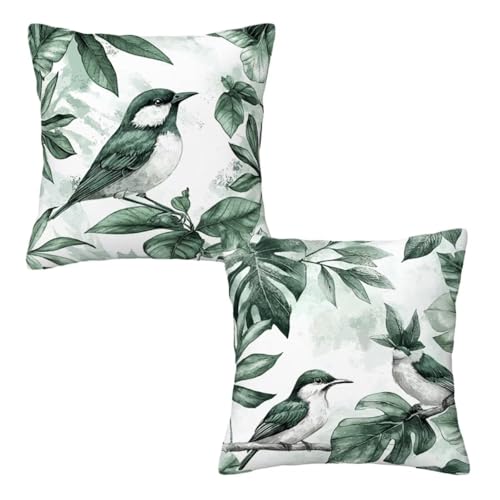 Kopfkissenbezug 80x80 cm 2er Set Salbeigrün Dekokissen Kissenbezüge, Samt Sofakissen Kopfkissenbezug, Deko Kissen Vogel Muster Beidseitiger Druck für Herbst Deko Wohnzimmer, Geschenke für Frauen E-79 Kopfkissenbezug 80x80 cm 2er Set Salbeigrün Dekokissen Kissenbezüge, Samt Sofakissen Kopfkissenbezug, Deko Kissen Vogel Muster Beidseitiger Druck für Herbst Deko Wohnzimmer, Geschenke für Frauen E-79 von Linncen