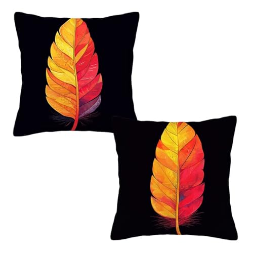 Kopfkissenbezug 80x80 cm 2er Set Schwarz Dekokissen Kissenbezüge, Samt Sofakissen Kopfkissenbezug, Deko Kissen Feder Muster Beidseitiger Druck für Herbst Deko Wohnzimmer, Geschenke für Frauen Z-41 Kopfkissenbezug 80x80 cm 2er Set Schwarz Dekokissen Kissenbezüge, Samt Sofakissen Kopfkissenbezug, Deko Kissen Feder Muster Beidseitiger Druck für Herbst Deko Wohnzimmer, Geschenke für Frauen Z-41 von Linncen