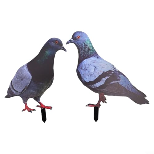 Linnkyfloa Wetterfeste 2D Acryl Gartentaube Statue Realistische Wildvogel Skulptur Bauernhof Ornament Outdoor Hof Dekoration für Garten Rasen Terrasse (A und B) von Linnkyfloa