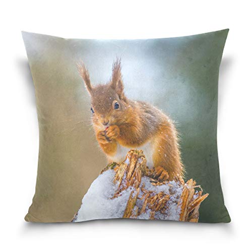 Linomo Kissenbezug 40x40 cm, Süß Tier Eichhörnchen Dekorative Kissenbezug Kissenhülle für Couch Sofa Bett Hause von Linomo