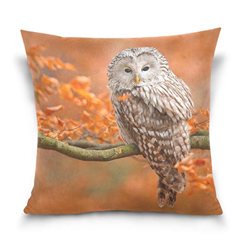 Linomo Kissenbezug 50x50 cm, Vogel Eule Herbst Dekorative Kissenbezug Kissenhülle für Couch Sofa Bett Hause von Linomo