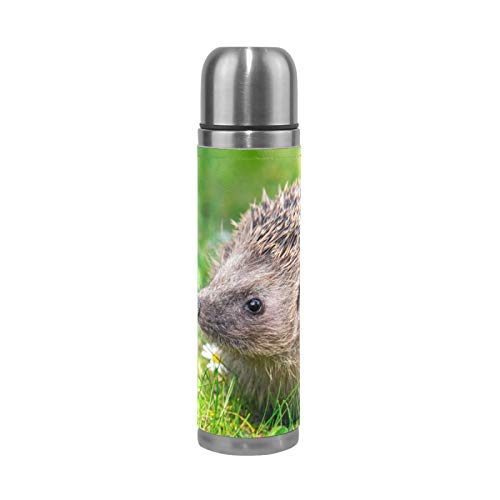 Linomo Thermosflasche Süß Igel Edelstahl Wasserflasche,Isoliert Auslaufsicher, Doppelwandig Vakuumflasche für Sport Reise Camping Büro 500 ml Linomo Thermosflasche Süß Igel Edelstahl Wasserflasche,Isoliert Auslaufsicher, Doppelwandig Vakuumflasche für Sport Reise Camping Büro 500 ml von Linomo