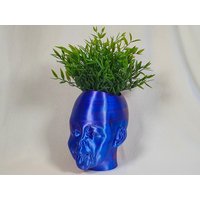 Blumentopf Kopf Mit "Magic Effect" - Exklusive Limited Edition | Inkl. Naturidente Bambus Pflanze von LinzKreativ