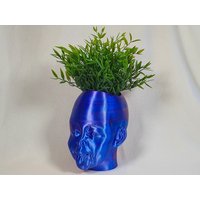 Blumentopf Kopf in Wunschfarbe - Premium Edition, Die Exklusive Geschenkidee von LinzKreativ