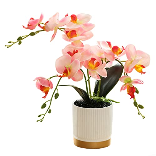 Lioaeust Künstliche Orchidee Blumen Topf, Künstliche Blume Phalaenopsis Bonsai Dekoration Künstliche Orchidee Blume (Pink) von Lioaeust