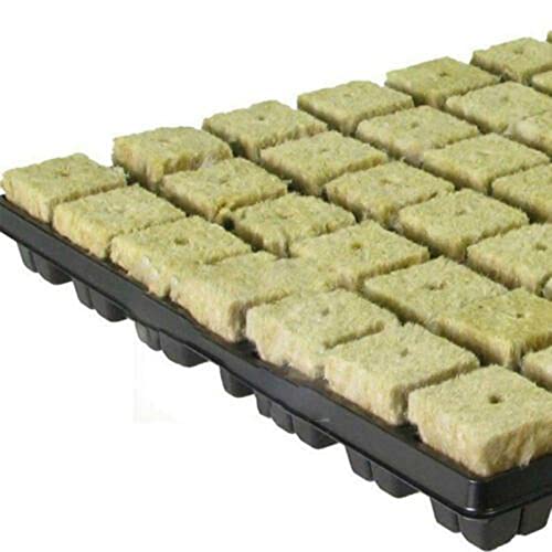 Lioaeust Rockwool Grow Cubes, Pflanzen-Kinderzimmerblock, Anbau-Kompresse, Basis Bodenlos Anbau Hydrokultur Anzuchtmatte für den Anbau und die Kolonisierung Arten von Pflanzen,25*25*40mm(50 Stück) von Lioaeust