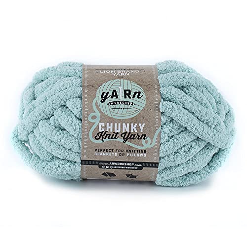 Lion Brand Yarn 951-106 Workshop Grobstrick Garn, Polyester, Light AR Aqua, Einheitsgröße, 26 Meter von Lion Brand Yarn