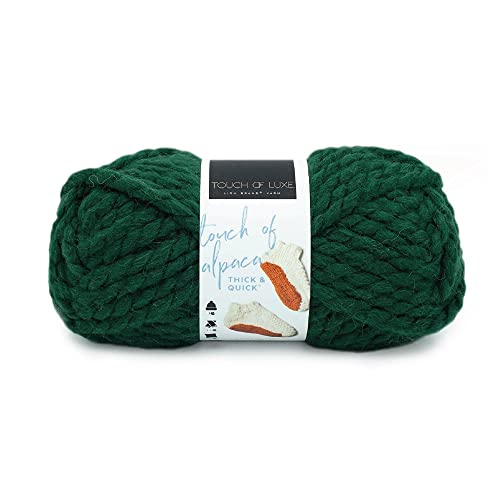 Lion Brand Yarn Company Garn, Acrylmischung, immergrün, Einheitsgröße von Lion Brand Yarn Company