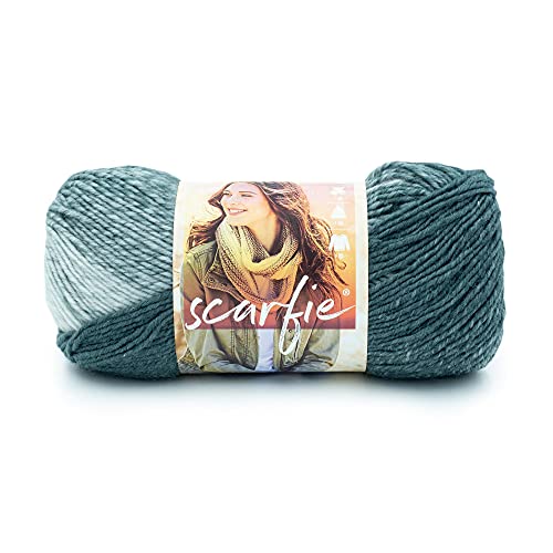 Lion Brand Yarn Scarfie-Garn, Hellgrau/Blaugrün von Lion Brand Yarn