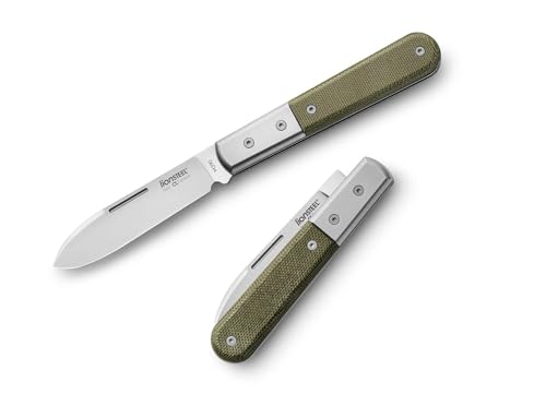 LionSteel Taschenmesser Roundhead Barlow Canvas mit Klinge aus M390 Stahl und Griff Micarta in der Farbe Grün, Klingenlänge 7,2 cm, 01LS238 von LionSteel