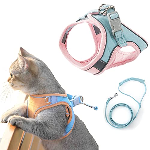 Luminous Cat Vest Harness and Leash Set, Escape Proof Cat Harness, Reflective Strap Night Cat Harness (Pink Blue,L(11-13)) von Lioncool