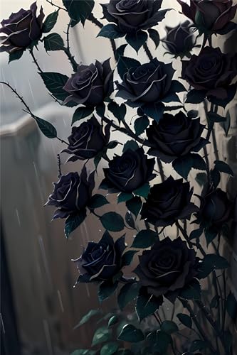 Lionhai Diamond Painting Erwachsene Groß XXL 50x70cm, DIY 5D Diamand Painting Schwarze Rose Diamant Painting Bilder Kinder Kreuzstich Stickerei Malerei Set, Wall Art Home Decor, Mädchen Geschenke von Lionhai