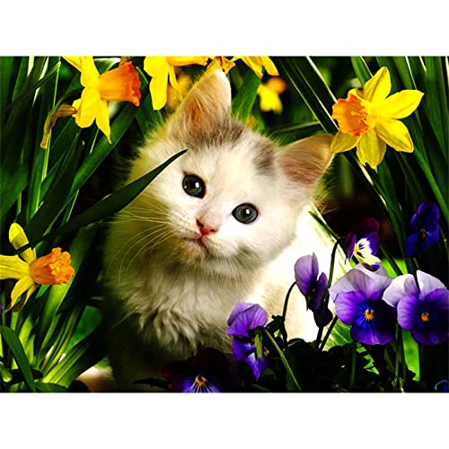 Diamond Painting Bilder Tiere süße Katze DIY 5D Diamant Malerei Vollbohrer Kit, Diamant Malen nach Zahlen Kreuzstich Stickerei Mosaik Gemälde für Home Dekoration Wanddekoration Round Drill 60x80cm von 壱岐の華