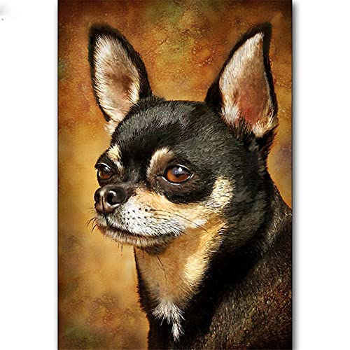 Diamond Painting Set Full,Chihuahua-Hund 5D Diamant Painting Bilder DIY Vollbohrer Diamant Malerei Kit für Erwachsene/Kinder,Strass Stickerei Kreuzstich,für Dekoration Home Wall Round Drill 50x60cm von Liowen