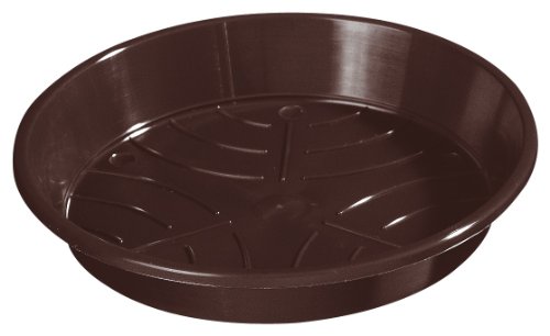 Lippert 808 034 07 Blumentopf Untersetzer Standard 34 cm, braun von Lippert