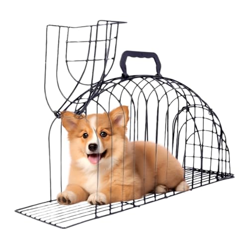 Kratzfeste Pflegebox - Katzenkäfig, Metallgitter | Wasch- und Pflegekäfig für Katzen, Innenbereich, Reise, Auto, Kätzchen, Welpen, Zuhause Kratzfeste Pflegebox - Katzenkäfig, Metallgitter | Wasch- und Pflegekäfig für Katzen, Innenbereich, Reise, Auto, Kätzchen, Welpen, Zuhause von Liqzirtu