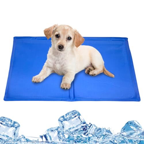 Liqzirtu Hundekühlbett, Selbstkühlende Eisunterlage Für Haustiere, Wasserdichtes Kühlkissen Bei Sommerhitze Für Katzen Auf Sofa Autositz Boden Raum Transportbox Garten Drinnen & Draußen Liqzirtu Hundekühlbett, Selbstkühlende Eisunterlage Für Haustiere, Wasserdichtes Kühlkissen Bei Sommerhitze Für Katzen Auf Sofa Autositz Boden Raum Transportbox Garten Drinnen & Draußen von Liqzirtu